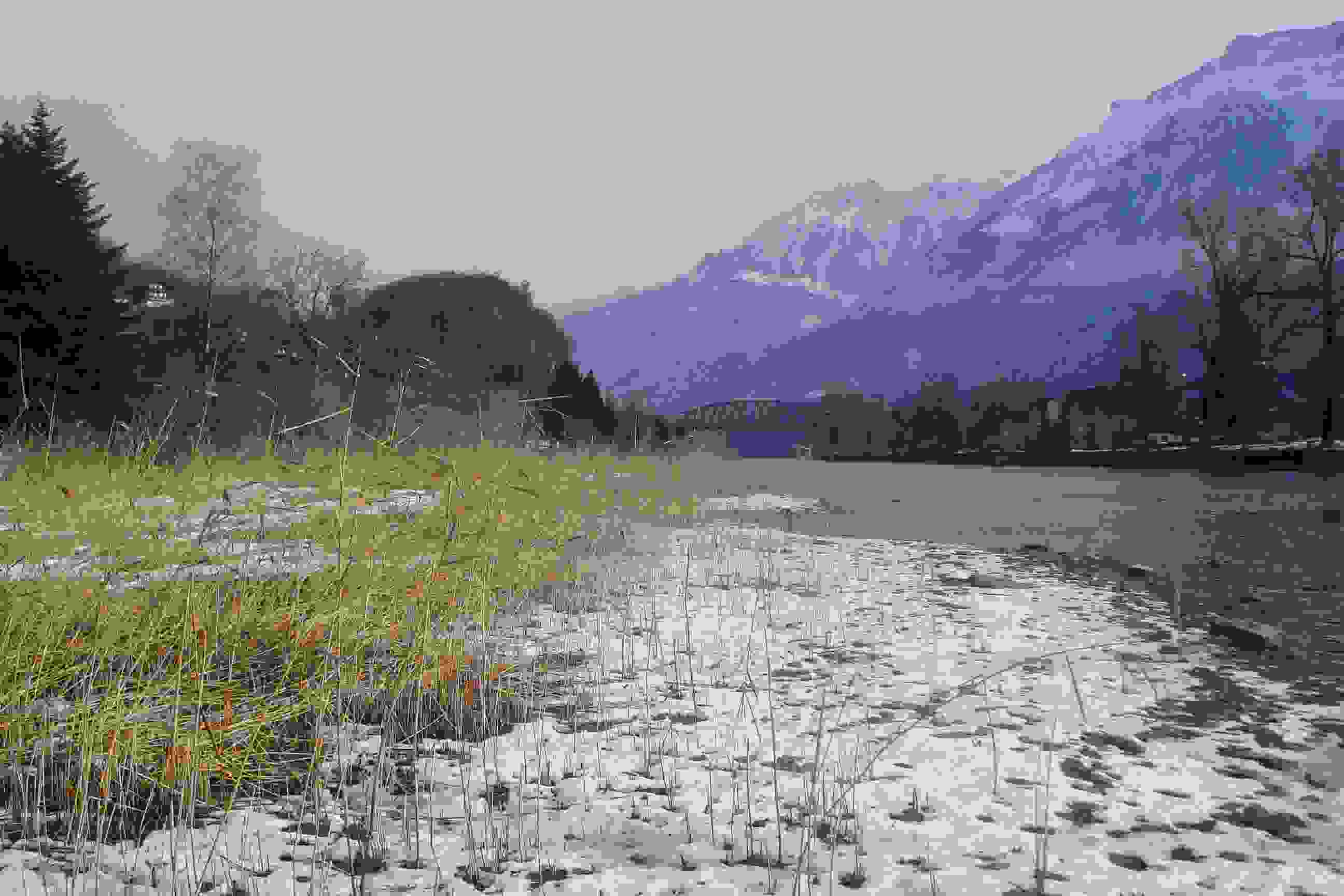 Aare